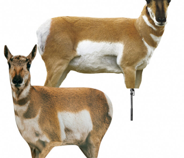 MONTANA DECOY ANTELOPE COMBO