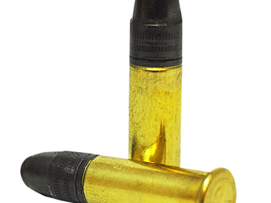 SK 420101 Standard Plus  22LR 40gr 50 Per Box/100 Case