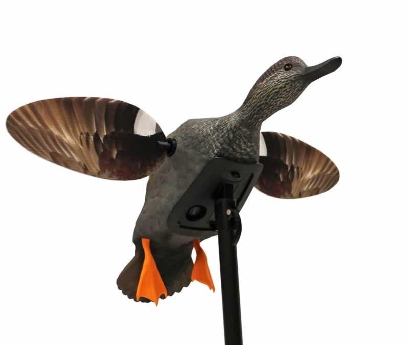 MOJO Elite Series Spinning Wing Decoy - Gadwall