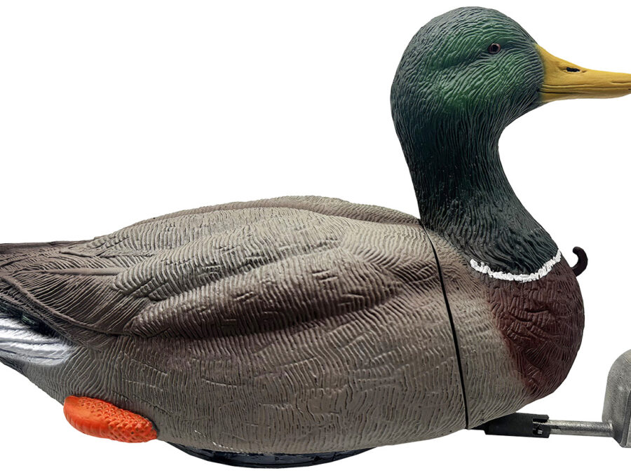 Mojo Outdoors HW2554 Dabbler Duck  Mallard Drake Species