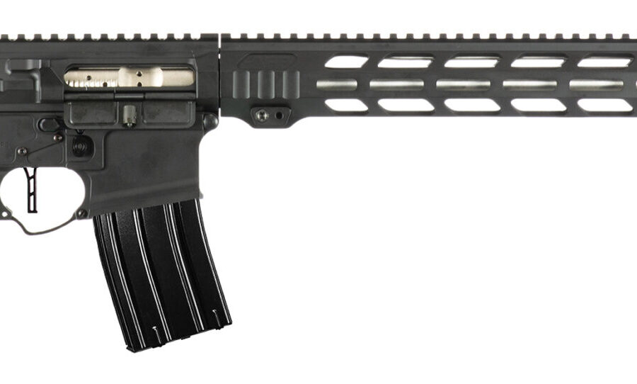 APF VARMINT 2.0 243WIN BLK 18 MLOK PRS LITE