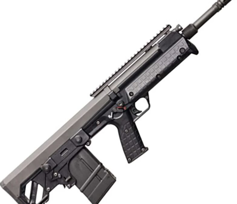 RFB Carbine 308 18" C Blk W/Rail 1/10