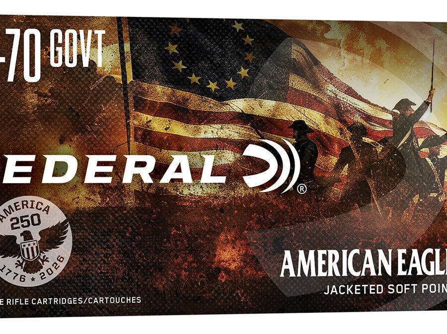 Federal AE4570USA American Eagle  45-70Gov 300gr Jacketed Soft Point 20 Per Box/10 Case