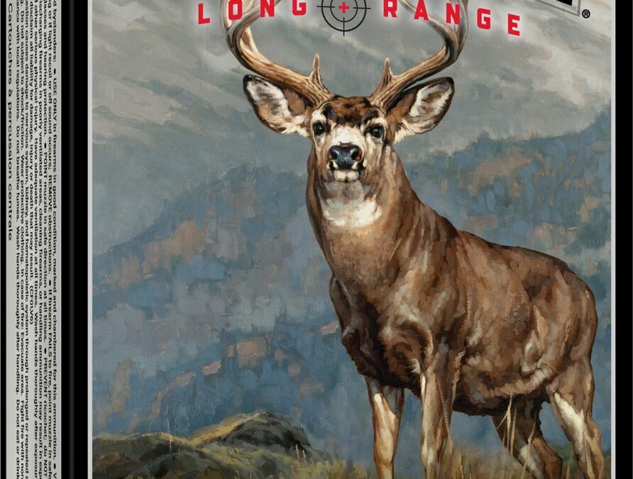 WIN S300BC 300WM 195GR BC MAX 20/10