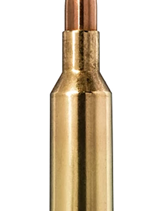 Norma Ammunition 20160492  Bondstrike 6mm 105gr 20 Per Box/10 Case