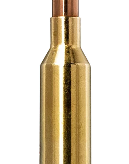 Norma Ammunition 20160482  Bondstrike 6Creedmoor 105gr 20 Per Box/10 Case