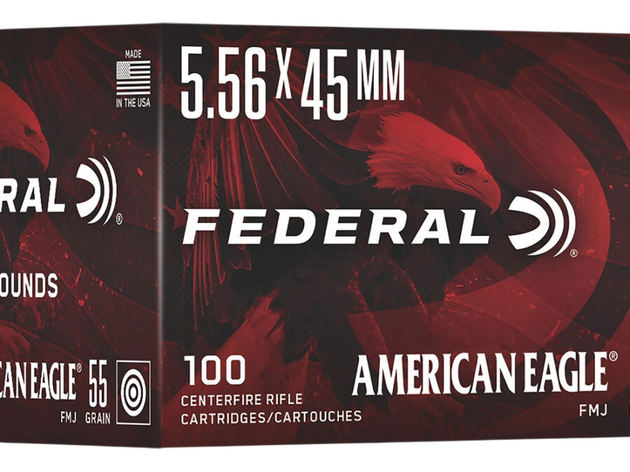 Federal AE193C American Eagle  5.56x45mm 55gr Full Metal Jacket 100 Per Box/5 Case