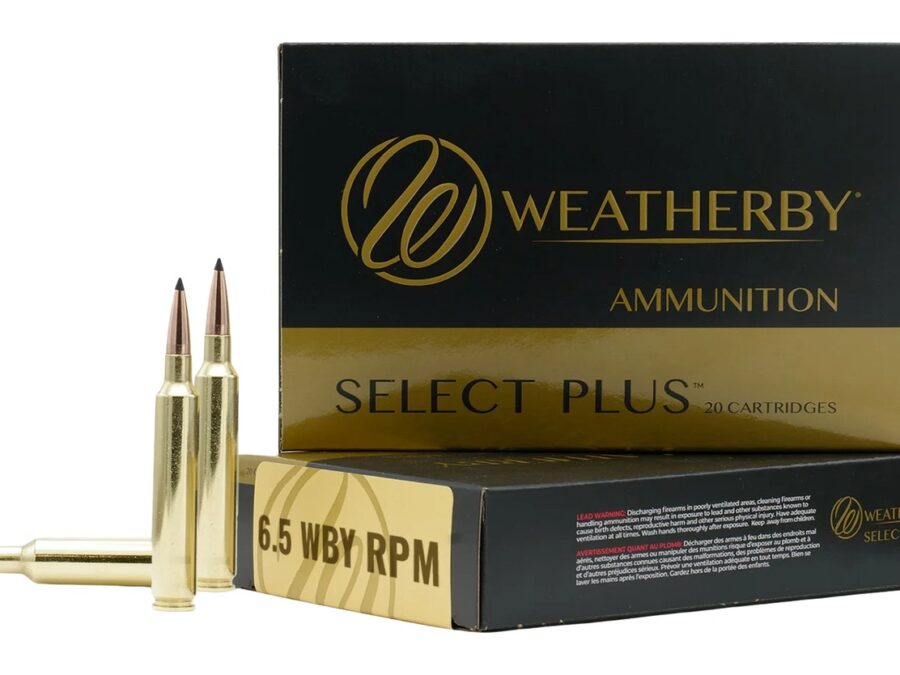 WEATHERBY 6.5WBY RPM 124GR HAMMER CUSTOM