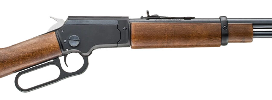 CHIAPPA LA322 LA BANDIT TAKE DOWN 22LR 12 WOOD