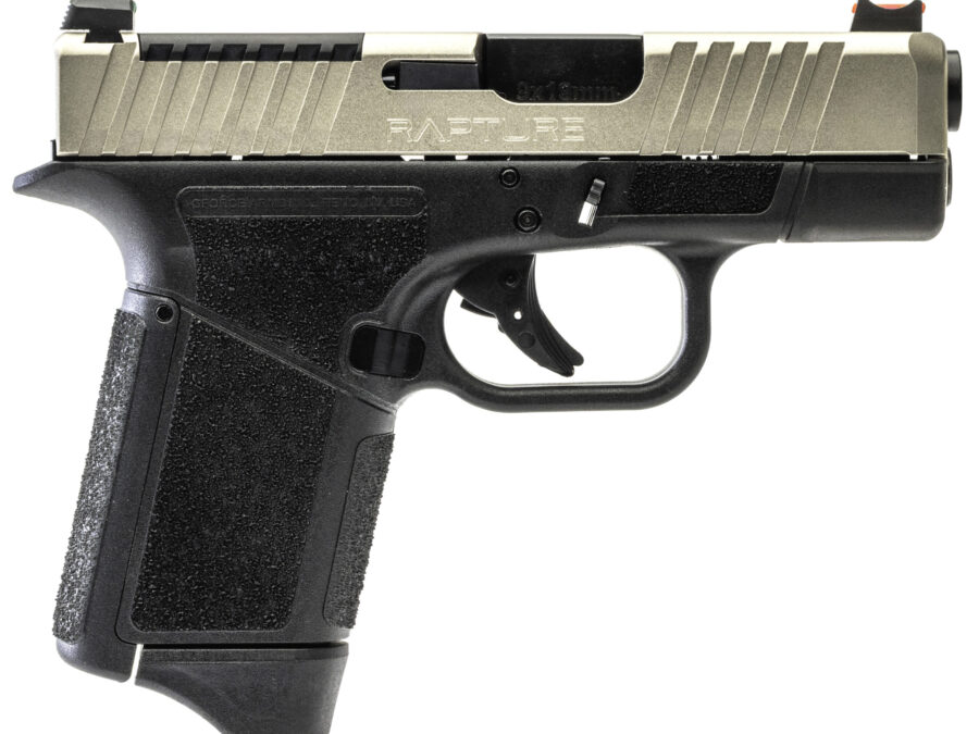 GFORCE GF9 9MM 3.25 BLK/NICKEL MICRO FP 12RD