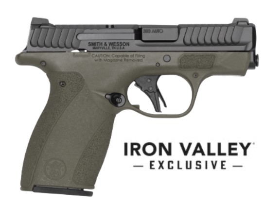 M&P Bodyguard 2.0 380ACP 2.75" NTS ODG 10/12 IVS