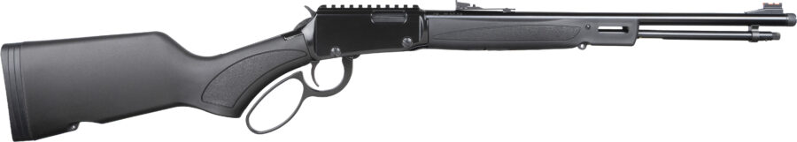 HEN X MODEL LVR 22WMR