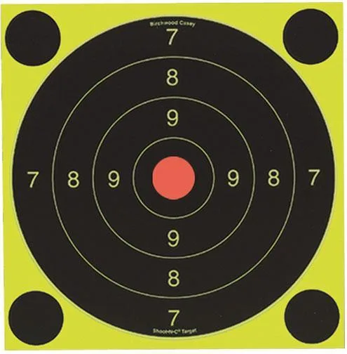 Birchwood Casey Shoot-N-C International Target
