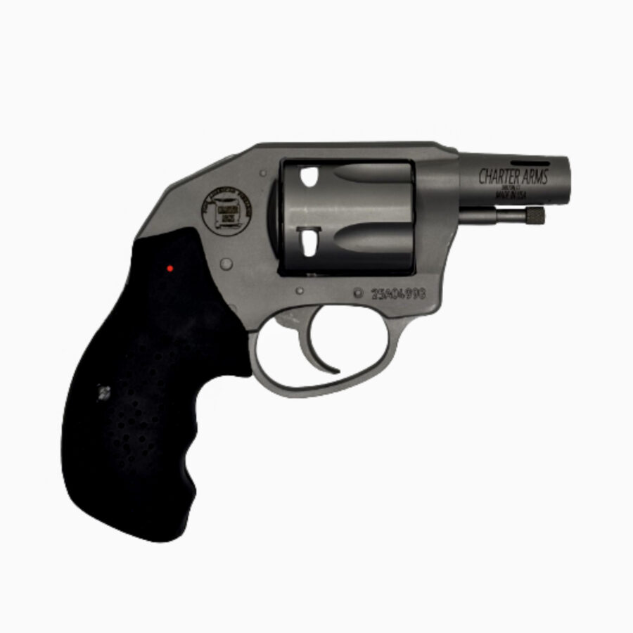 CHARTER ARMS BOOMER 9MM 2IN BARREL 5RD STAINLESS STEEL RUBBER GRIP CONCEALED HAMMER 79959