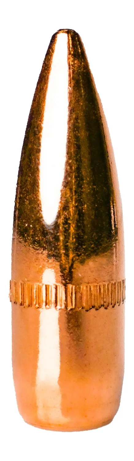 BERRYS 93300     223      .223   55GR FMJ      500