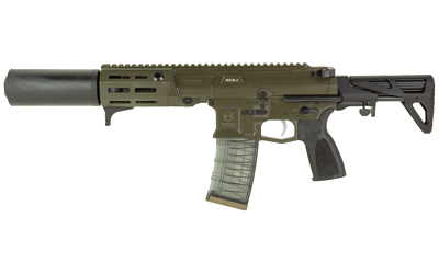MAXIM PDX-SD 300BLK 5.5" 20RD SBR OD