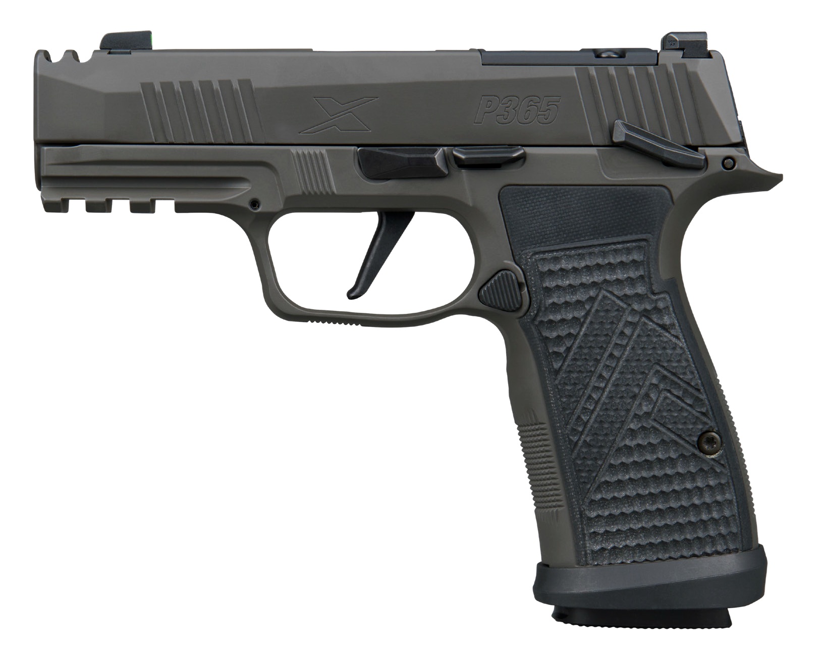 P365AXGCA.jpg