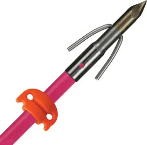 AMS BOWFISHING FIBERGLASS - ARROW CHAOS POINT PINK W/SS