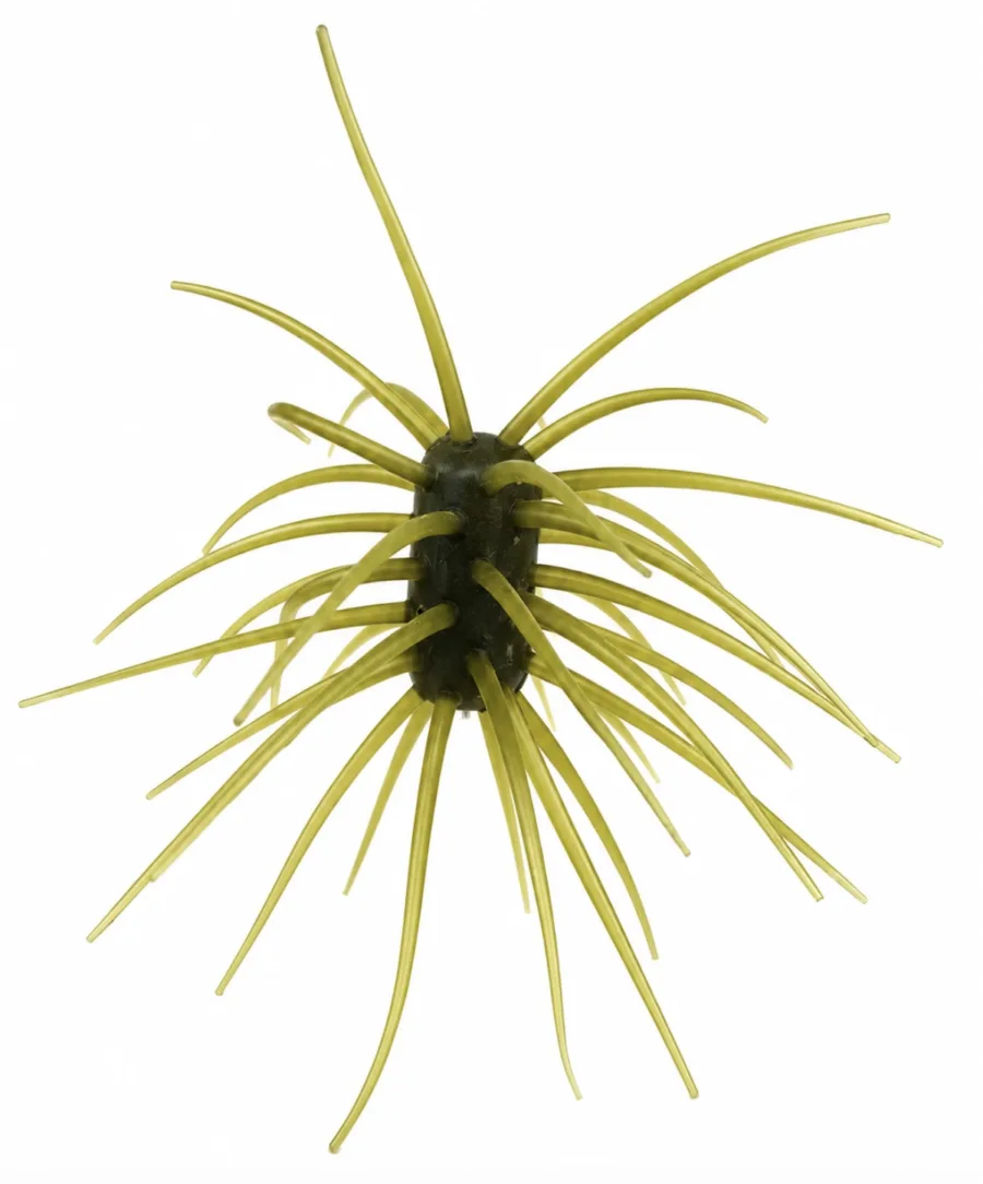 YEN ASHI URCHIN 33X15MM GRN PUMPKIN