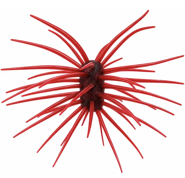 YEN ASHI URCHIN 33X15MM SCUPPERNOG