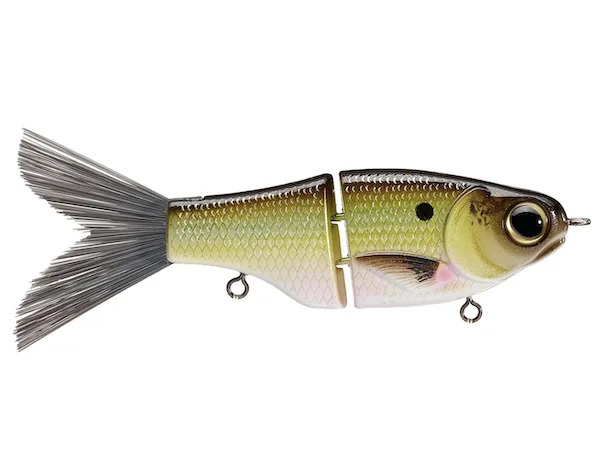 KGB LIL' GUY 120 GRAND SHAD
