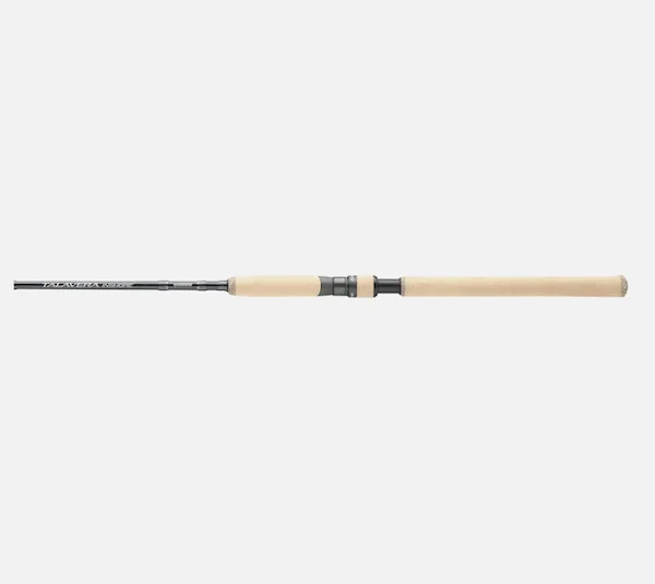 TALAVERA INSHORE 76 H SPN D